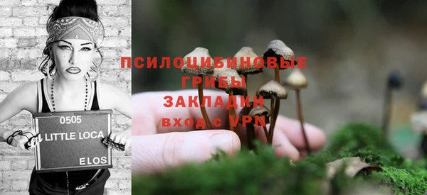 амф Алзамай