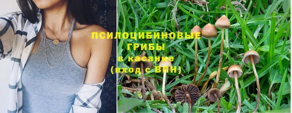 амф Алзамай