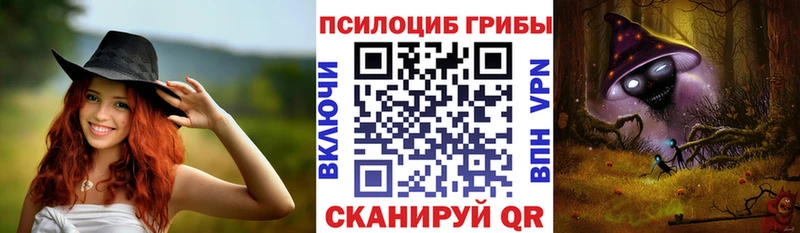 сколько стоит  Протвино  Галлюциногенные грибы Cubensis 