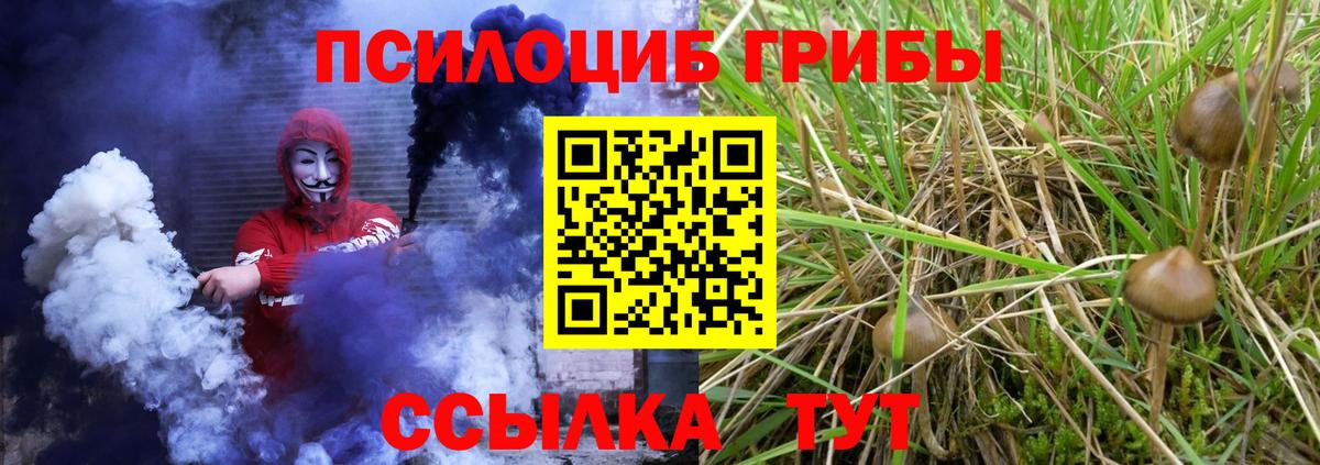 как найти   Вход с VPN  Псилоцибиновые грибы Magic Shrooms  Протвино  Галлюциногенные грибы Cubensis 